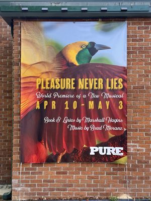 PURE Theatre by null