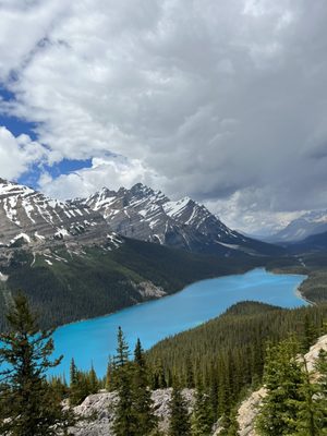 Peyto Lake by null