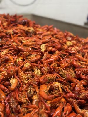 Tony's Seafood by null