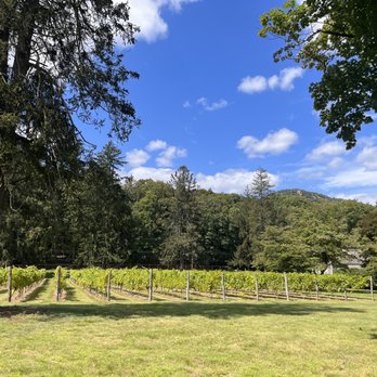 Torne Valley Vineyards - Venues & Event Spaces Near Me - Suffern, New York Torne Valley Vineyards - Venues & Event Spaces Near Me - Suffern, New York