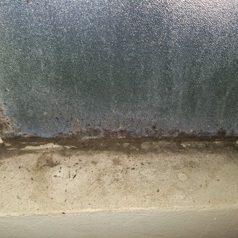 Conrad Property Management - Mold in bathroom even though the window was always open - Property Management Near Me - Los Angeles, California Conrad Property Management - Mold in bathroom even though the window was always open - Property Management Near Me - Los Angeles, California