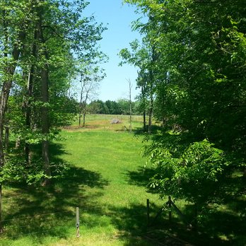 The Studio at Jonquil - Beautiful view - Bed & Breakfast Near Me - Mebane, North Carolina The Studio at Jonquil - Beautiful view - Bed & Breakfast Near Me - Mebane, North Carolina