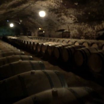 Concha y Toro - Wineries Near Me - Pirque, RM Concha y Toro - Wineries Near Me - Pirque, RM