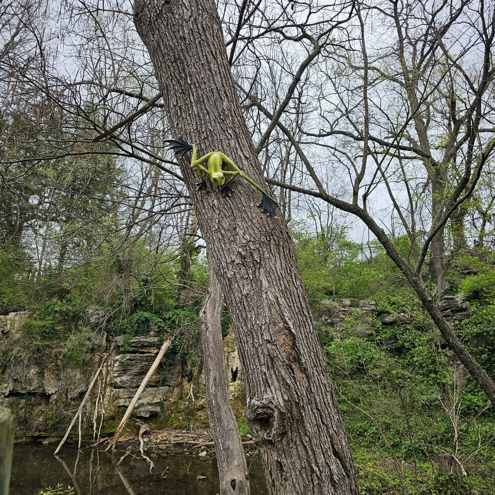 Dickerson Park Zoo - Zoos Near Me - Springfield, Missouri