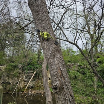 Dickerson Park Zoo - Zoos Near Me - Springfield, Missouri