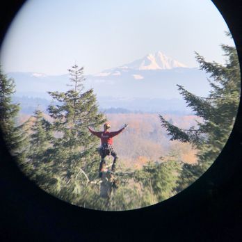Lovejoy Contract Climbing - Bird of prey habitat creation - Tree Services Near Me