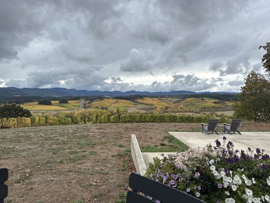 Resonance Vineyard by null