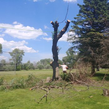 Paradise Gardens Nursery - a man cutting down a tree - Nurseries & Gardening Near Me - West Bend, Wisconsin Paradise Gardens Nursery - a man cutting down a tree - Nurseries & Gardening Near Me - West Bend, Wisconsin