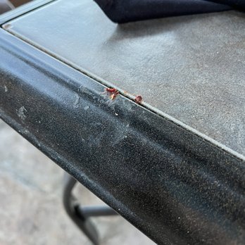 Rio Grande Lounge - Dried on food from previous diners. - A small insect, possibly a beetle or similar, is positioned on the edge of a black, dusty table surface. The table appears to be made of a material with a textured, dusty finish. A piece of dark fabric is partially visible on the table, and the background shows an outdoor environment with blurred structures and a railing. The image captures the insect in close detail, emphasizing the dusty surface of the table. - Lounges Near Me - Bernalillo, New Mexico