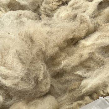 Ogden Alpaca farm - Alpacas's fleence. - Food Tours Near Me Ogden Alpaca farm - Alpacas's fleence. - Food Tours Near Me