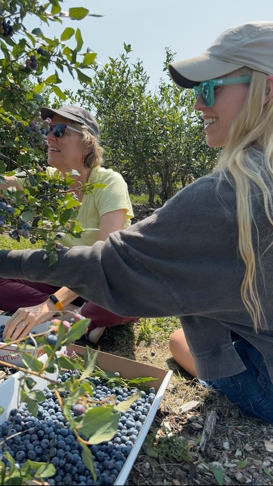 LAVIGNE STRAWBERRY FARM Updated October 2024 Whichers Mill Rd