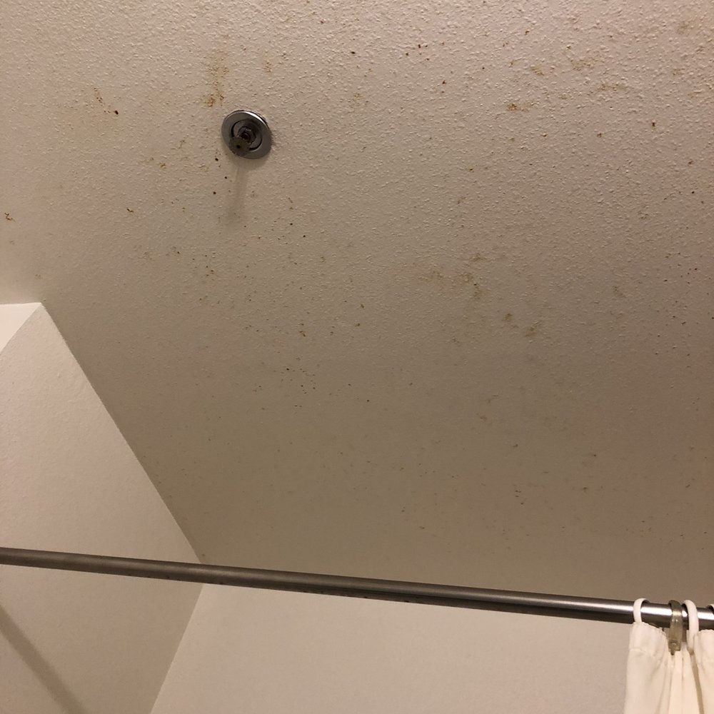 West Star Resort - Bathroom ceiling - Hotels Near Me - Jackpot, Nevada