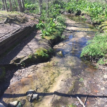 Cold Spring Harbor State Park - Pretty stream - Hiking Near Me - Cold Spring Harbor, New York