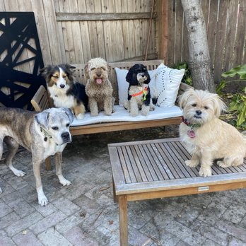 Woof There It Is - Pet Boarding Near Me Woof There It Is - Pet Boarding Near Me