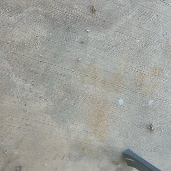 Nice Pest Company - rip little guys - Pest Control Near Me - Scottsdale, Arizona Nice Pest Company - rip little guys - Pest Control Near Me - Scottsdale, Arizona