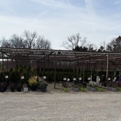 A Brown & Sons Nursery - They have a wide assortment of plants ready to go!
