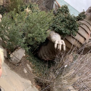 ABQ BioPark Aquarium - Me vs dragon - Aquariums Near Me - Albuquerque, New Mexico