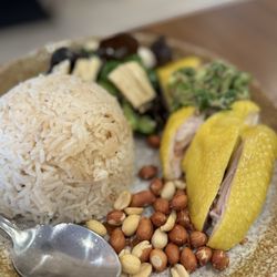 Yummy Hainan Chicken - Hainan chicken over rice
