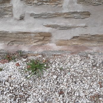 Otto's Brick and Stone Pointing - a plant growing out of the ground - Masonry/Concrete Near Me - Philadelphia, Pennsylvania Otto's Brick and Stone Pointing - a plant growing out of the ground - Masonry/Concrete Near Me - Philadelphia, Pennsylvania