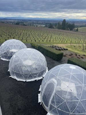 Winderlea Vineyard & Winery by null