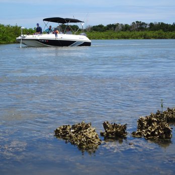 Ripple Effect Ecotours - Rafting/Kayaking Near Me - St. Augustine, Florida