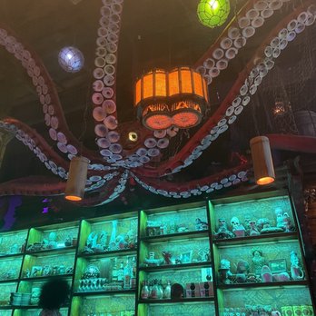 Inside Passage - The cool ceiling squid and mug wall - Cocktail Bars Near Me - Seattle, Washington Inside Passage - The cool ceiling squid and mug wall - Cocktail Bars Near Me - Seattle, Washington