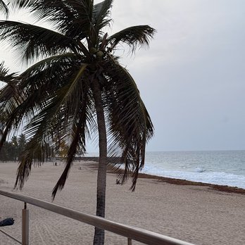 The Atlantic at the Tryst - Latin American Near Me - San Juan, Puerto Rico The Atlantic at the Tryst - Latin American Near Me - San Juan, Puerto Rico