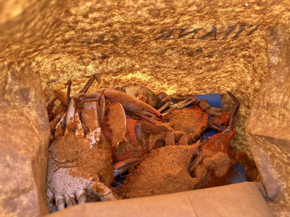 Food from Wild Country Seafood