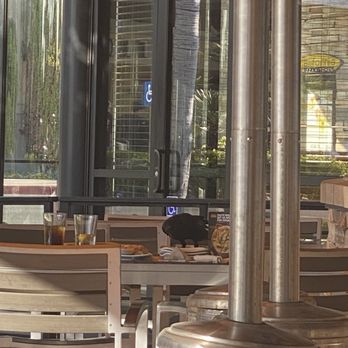 California Pizza Kitchen - Crows circling - Pizza Near Me - Chula Vista, California