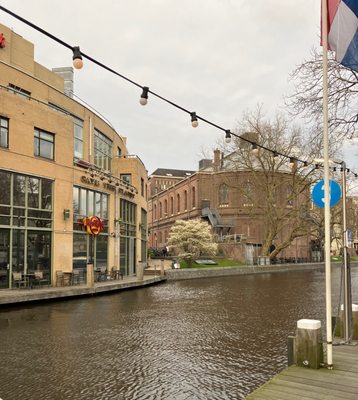 Blue Boat Company by null