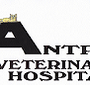 Photo of Antrim Veterinary Hospital
