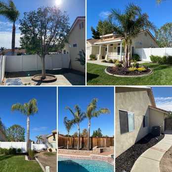 Ezra Tree Service - After - Tree Services Near Me Ezra Tree Service - After - Tree Services Near Me