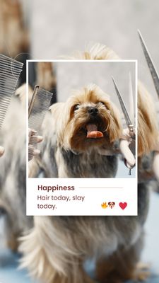 Lulu's Doggy Salon & Spaw