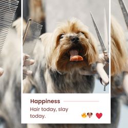 Lulu's Doggy Salon & Spaw