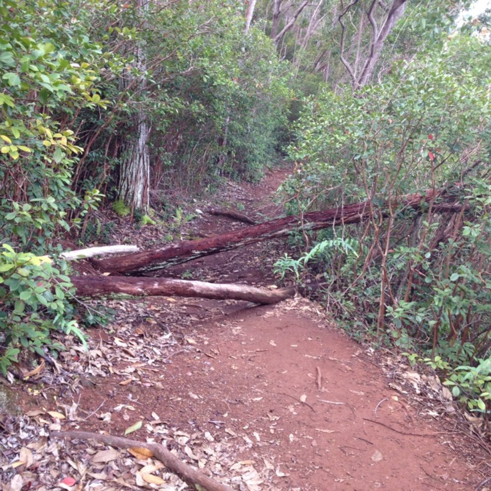Waimano Loop Trail - Hiking Near Me - Pearl City, Hawaii Waimano Loop Trail - Hiking Near Me - Pearl City, Hawaii