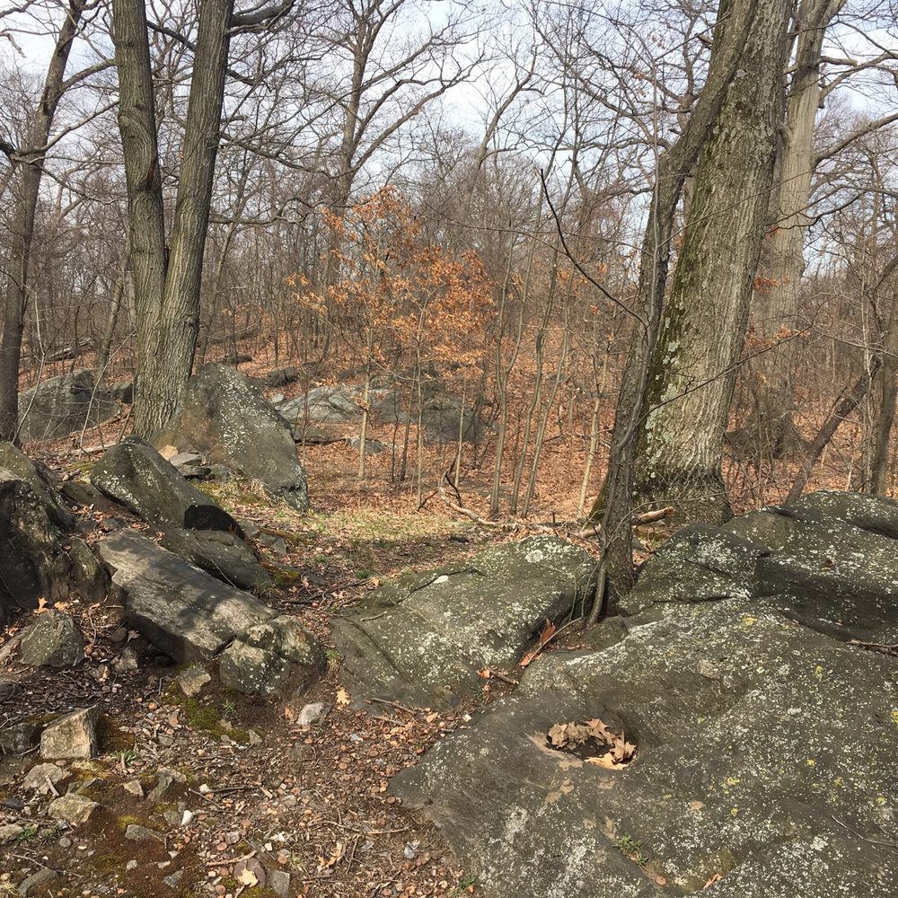 Van Cortlandt Park  - Parks Near Me - Bronx, New York
