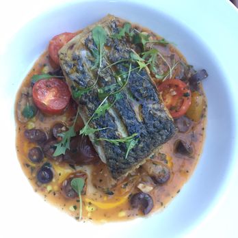 Vino e Cucina - Fish of the day: barramundi - Italian Near Me - Paddington, NSW Vino e Cucina - Fish of the day: barramundi - Italian Near Me - Paddington, NSW