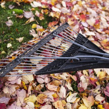 Brookside Lawn Service - Don't let leaves build up on your lawn. - Lawn Services Near Me - Medina, Ohio Brookside Lawn Service - Don't let leaves build up on your lawn. - Lawn Services Near Me - Medina, Ohio