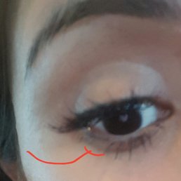 Do yourself a favor and do not go to this place, half of my bottom lashes were ripped out. Do yourself a favor and do not go to this place, half of my bottom lashes were ripped out.