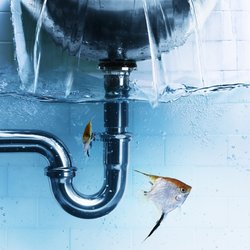 Eddie’s Plumbing Service