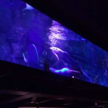 Dive Bar - Dive Bars Near Me - Sacramento, California Dive Bar - Dive Bars Near Me - Sacramento, California