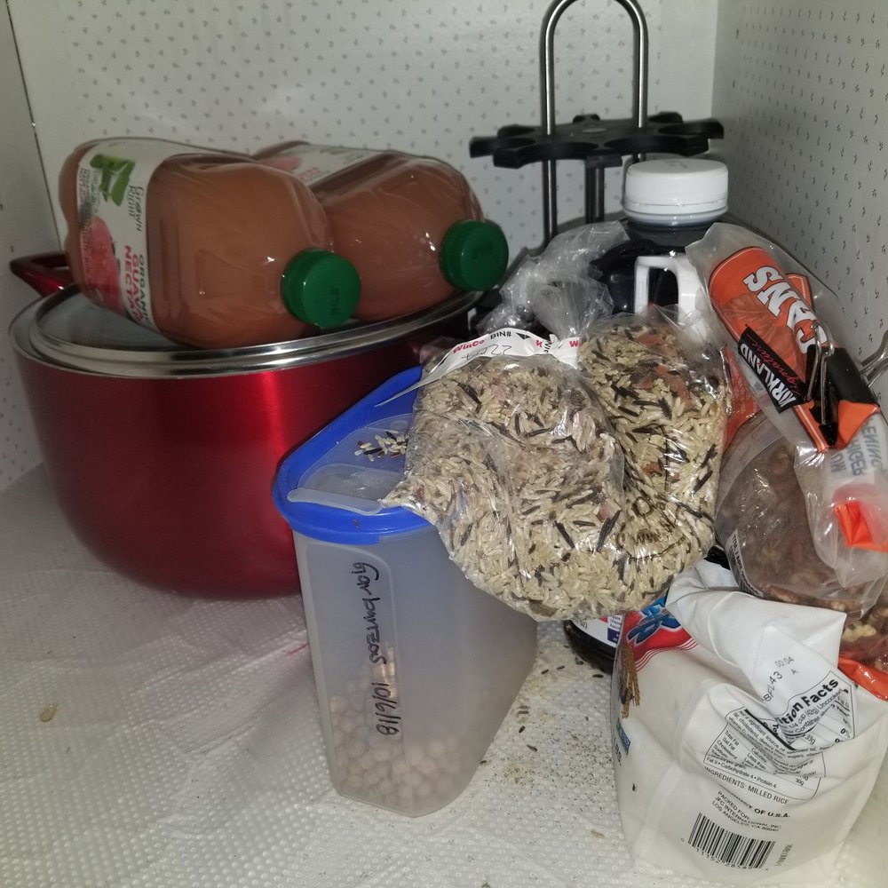 WinCo Foods - Theres a lot of tiny little black bugs all over - Grocery Near Me - Norco, California
