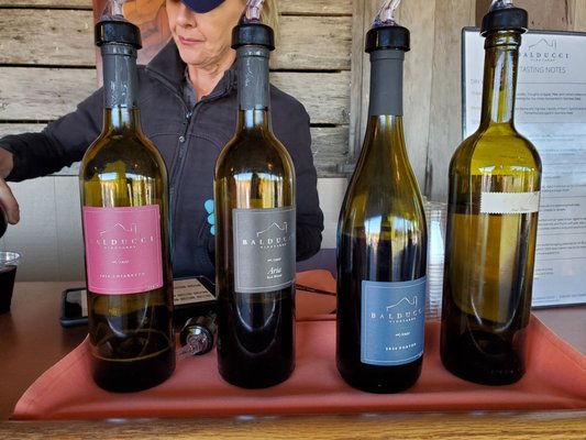 Balducci Vineyards by null
