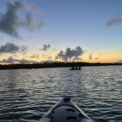 Puerto Rico Access Eco Tours
