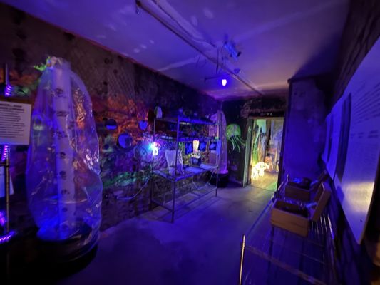 Makars Mash Bar by null