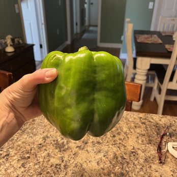 Pee Dee Farmers Market - Huge Bell Peppers. $1.49 each. - Farmers Market Near Me - Florence, South Carolina Pee Dee Farmers Market - Huge Bell Peppers. $1.49 each. - Farmers Market Near Me - Florence, South Carolina