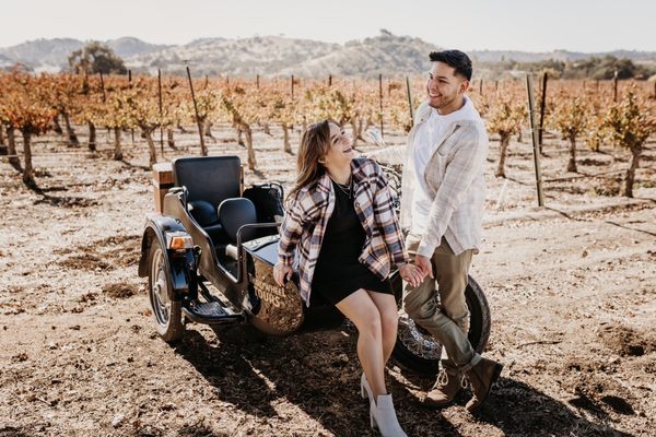 Third Wheel Tours by null