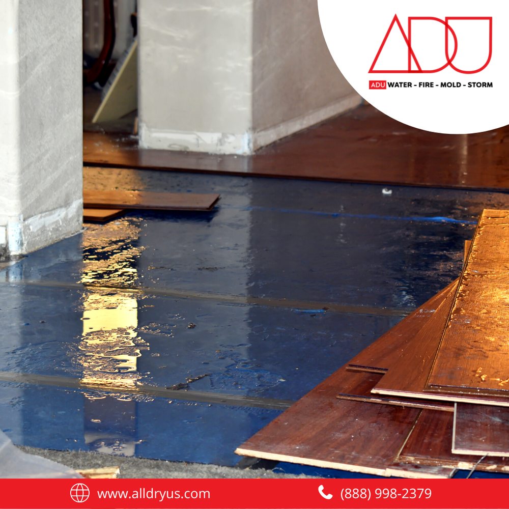 Slide of ADU Water Fire Mold Storm