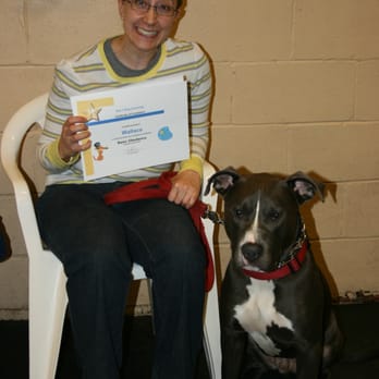 Kim's Dog Coaching - Pet Training Near Me - Chicago, Illinois