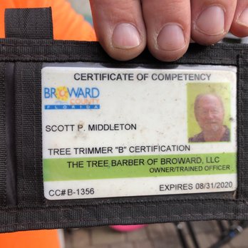 The Tree Barber - This guy is un fit for you job. - Tree Services Near Me The Tree Barber - This guy is un fit for you job. - Tree Services Near Me